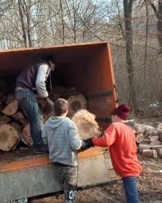 Loading logs