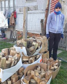 A donation of firewood