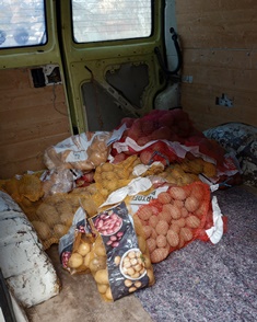 Donated potatoes