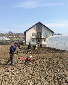 Gardening Day