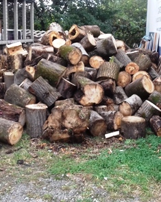 Firewood Firewood