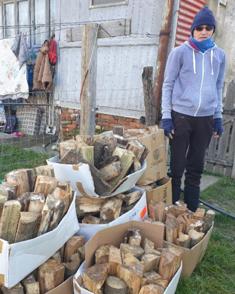 A donation of firewood A donation of firewood