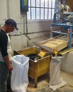 Milling the maize Milling the maize