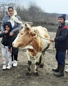 Family with Cow
