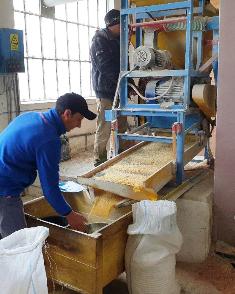 Maize milled for flour Milling maize