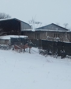 Cattle shed