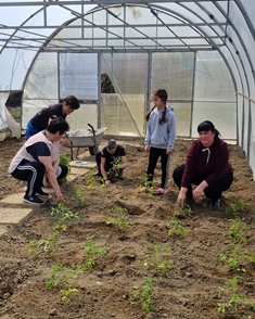 Planting out Planting out
