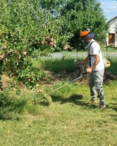 Cutting the grass