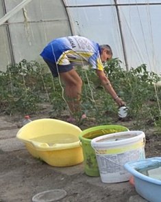 Caring for crops