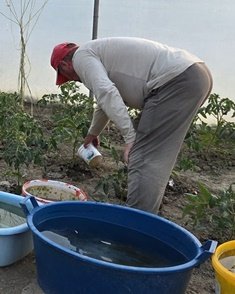 Caring for crops