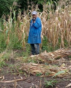 The end of the harvest