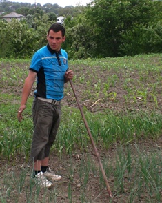 Weeding the onion patch